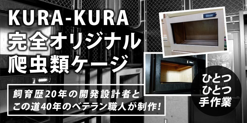 群馬県前橋市 爬虫類ケージショップKURA-KURAクラクラ