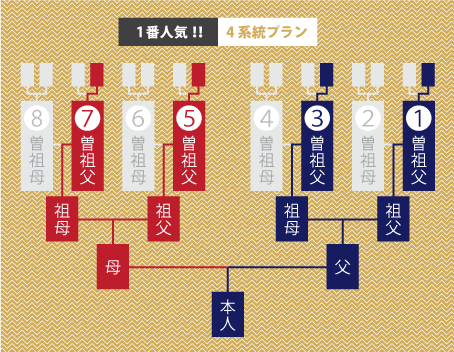 群馬県前橋市・けやき家系図