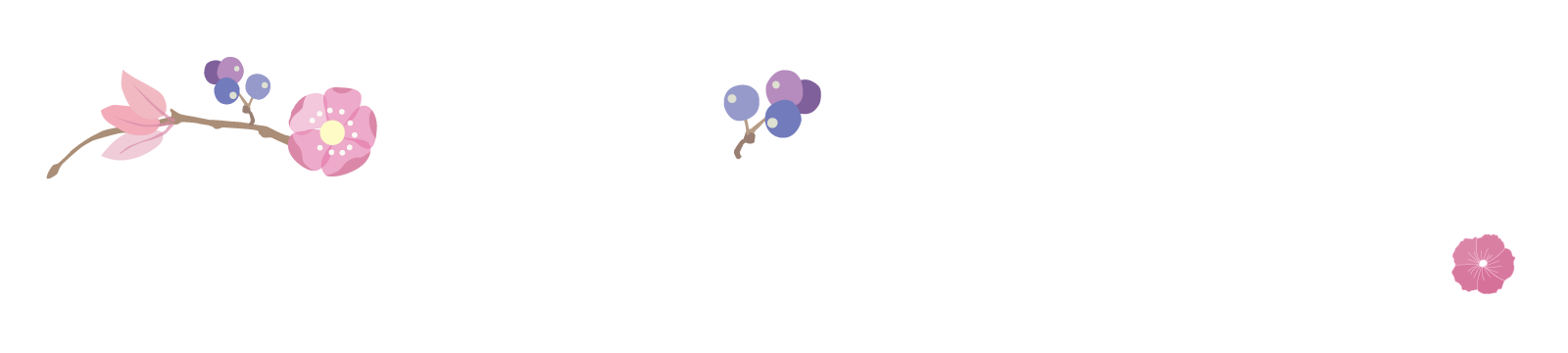 株式会社ブルーミング